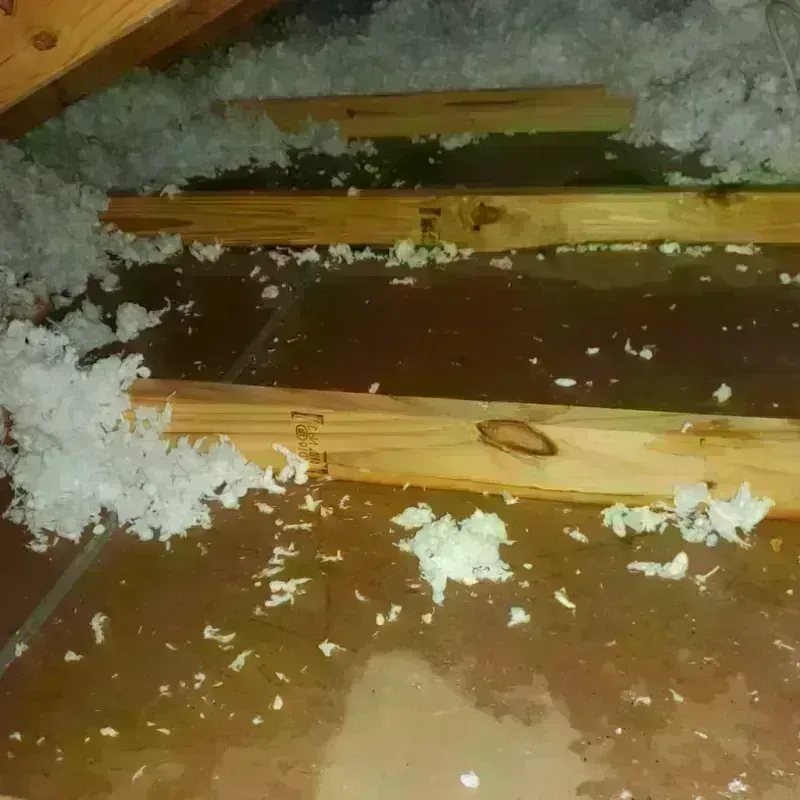 Attic Water Damage in Lakes, AK