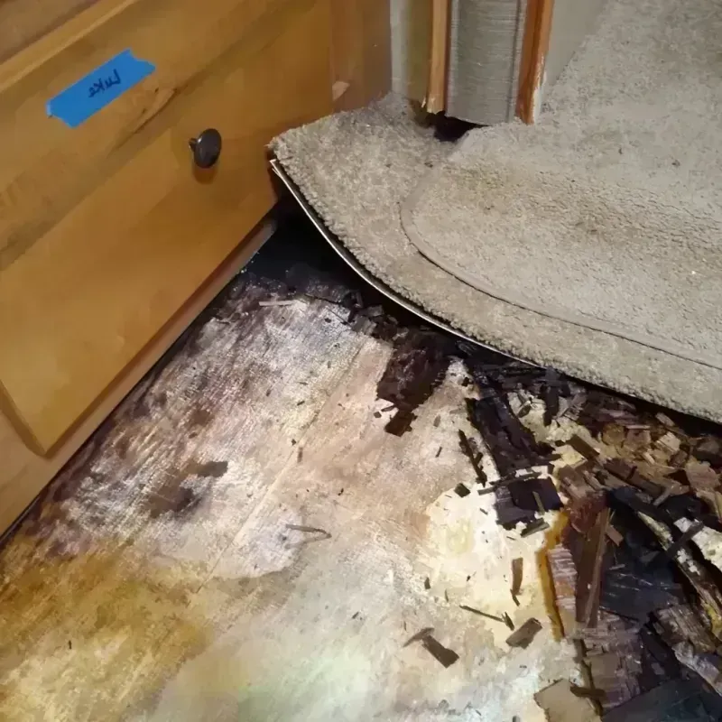 Wood Floor Water Damage in Lakes, AK